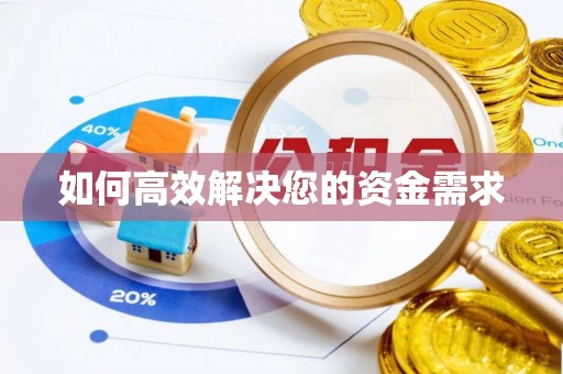 大里如何高效解决您的资金需求