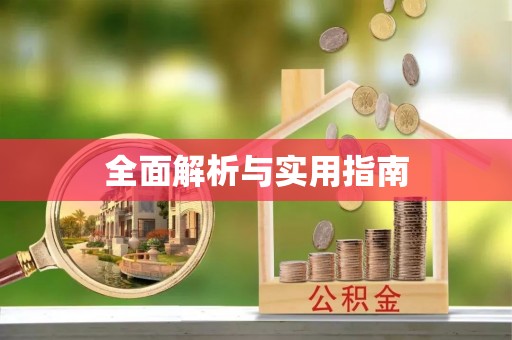 大里全面解析与实用指南