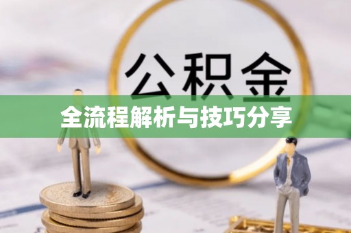 大里全流程解析与技巧分享